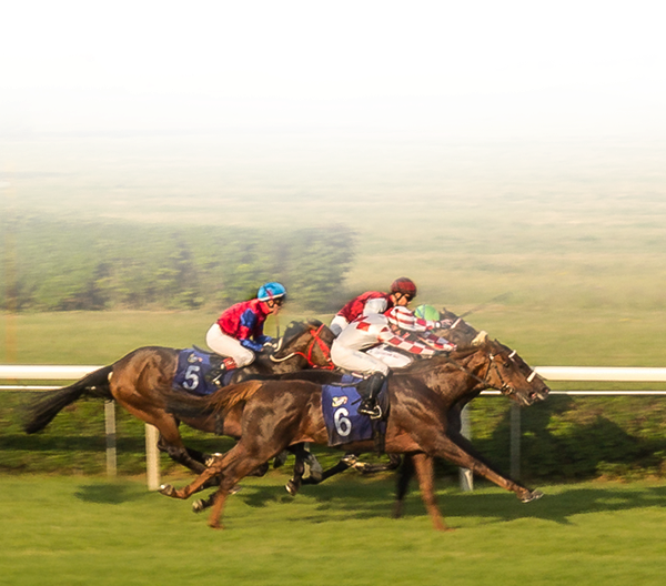 Mahalaxmi Racecourse  The Horse Racing Track in Mumbai