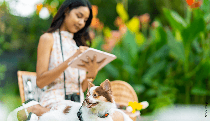Key Things to Consider When Buying a Home as a Pet Parent