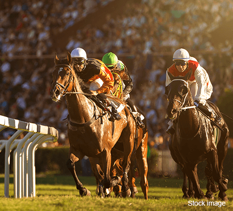 Horse Race Track in Mumbai