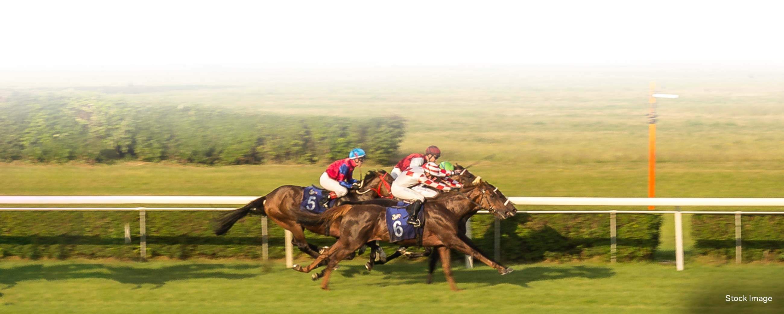 Mahalaxmi Racecourse  The Horse Racing Track in Mumbai